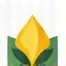 Icon representing biodegradable and eco-friendly soap